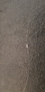 20190324_104113.jpg 20190324_104113.jpg