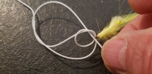 20190324_105027.jpg 20190324_105027.jpg