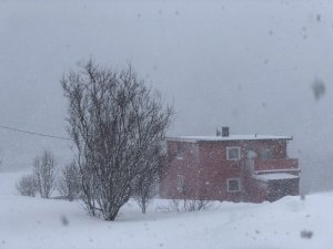 DCEA9C99-F1F8-4E97-9737-91A650D59545.jpeg DCEA9C99-F1F8-4E97-9737-91A650D59545.jpeg