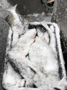 NuG7AkzYRtmyt6UtelRIdA.jpg NuG7AkzYRtmyt6UtelRIdA.jpg