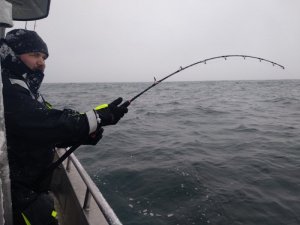 9cf1950b-69a4-4422-b546-e5f9a0ad5620.JPG 9cf1950b-69a4-4422-b546-e5f9a0ad5620.JPG