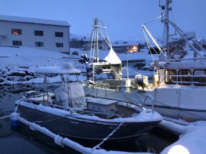 87kXYGgHSL6fi0WazxF2AA.jpg 87kXYGgHSL6fi0WazxF2AA.jpg