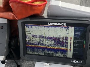 LSJLd+spRK+eIeIgJbbrGQ.jpg LSJLd+spRK+eIeIgJbbrGQ.jpg