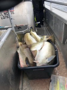 1cbc76da-2ceb-40b2-9191-5f92cdf5ed27.JPG 1cbc76da-2ceb-40b2-9191-5f92cdf5ed27.JPG