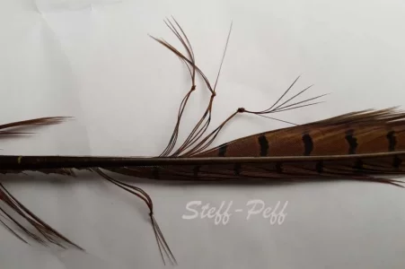 Hopper legs 20190404_182246.webp