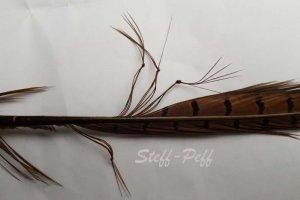 Hopper legs 20190404_182246.jpg Hopper legs 20190404_182246.jpg