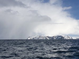 fullsizeoutput_3076.jpeg fullsizeoutput_3076.jpeg