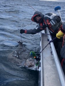 YNcy%iqhTLKt2WoHJ5SLZw.jpg YNcy%iqhTLKt2WoHJ5SLZw.jpg