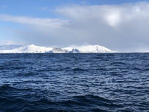 fullsizeoutput_3079.jpeg fullsizeoutput_3079.jpeg