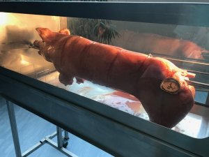 IMG_5739.jpg IMG_5739.jpg