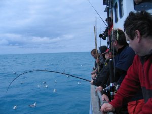 IMG_3429.JPG