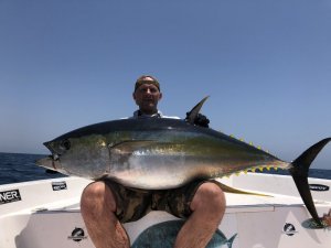 67E9834E-2833-4AED-90F6-3DCF3AF23E38.jpeg 67E9834E-2833-4AED-90F6-3DCF3AF23E38.jpeg