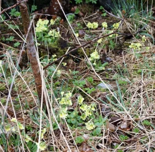 IMG_1322-2.webp IMG_1322-2.webp