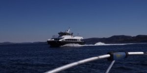 IMG_20190417_124802.jpg
