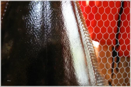 IMG_8457.comp.webp IMG_8457.comp.webp