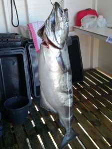 IMG-20180711-WA0008.jpg IMG-20180711-WA0008.jpg