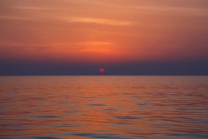 A6362C85-7CCC-42D0-8C48-BAFA5EC96B28.jpeg