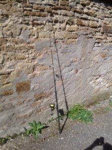 20190430_162845.jpg