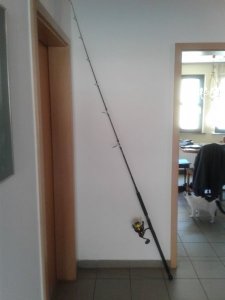 20190430_162940.jpg