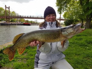 20190507_170023.jpg 20190507_170023.jpg