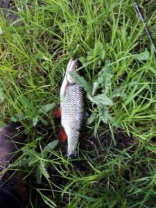 IMG-20190507-WA0000.jpg IMG-20190507-WA0000.jpg