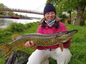 20190509_095053.jpg 20190509_095053.jpg