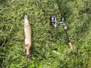 IMG-20190509-WA0000.jpg IMG-20190509-WA0000.jpg