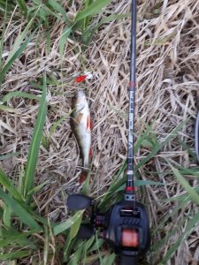 IMG-20190509-WA0001.jpg IMG-20190509-WA0001.jpg