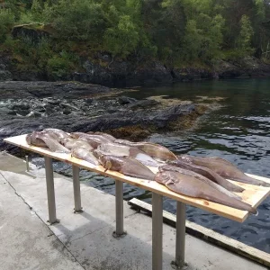 20190508_122903.webp 20190508_122903.webp