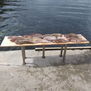 20190508_122755.webp 20190508_122755.webp