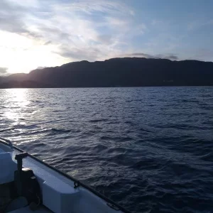 20190508_062509.webp 20190508_062509.webp