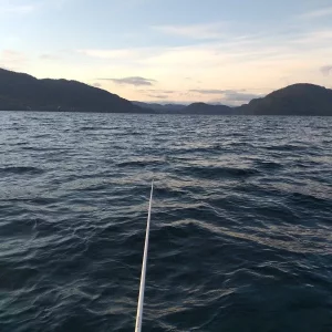 20190508_062504.webp 20190508_062504.webp