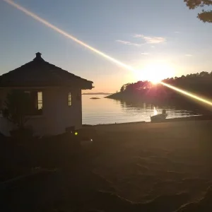 20190508_211254.webp 20190508_211254.webp