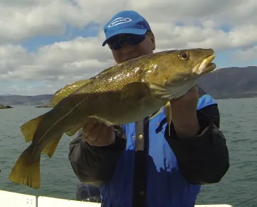 G0352070a.webp G0352070a.webp