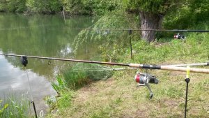 1557754235943.jpg 1557754235943.jpg