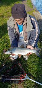 IMG-20190514-WA0000.jpg IMG-20190514-WA0000.jpg