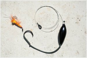 IMG_7513.comp.jpg IMG_7513.comp.jpg