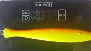 20190523_152331.jpg