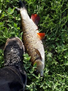 IMG-20190526-WA0005.jpg IMG-20190526-WA0005.jpg