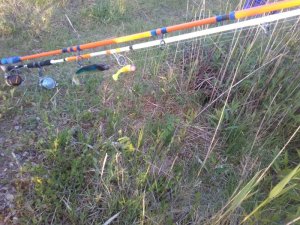 IMG-20190526-WA0014.jpg IMG-20190526-WA0014.jpg