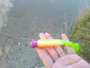 IMG-20190526-WA0017.jpg IMG-20190526-WA0017.jpg