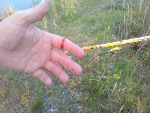 IMG-20190526-WA0016.jpg IMG-20190526-WA0016.jpg