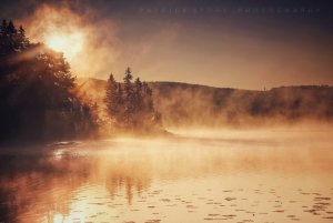 image1.jpeg image1.jpeg