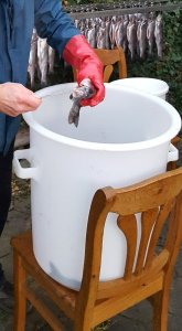 20190531_164750.jpg 20190531_164750.jpg