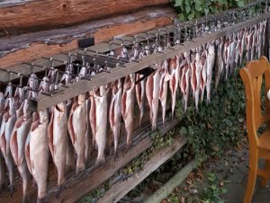 20190531_170833.jpg 20190531_170833.jpg