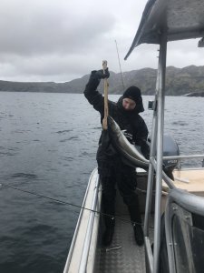 IMG_5676.JPG IMG_5676.JPG