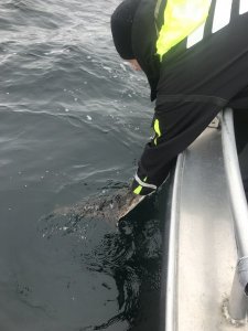 IMG_5695.JPG IMG_5695.JPG