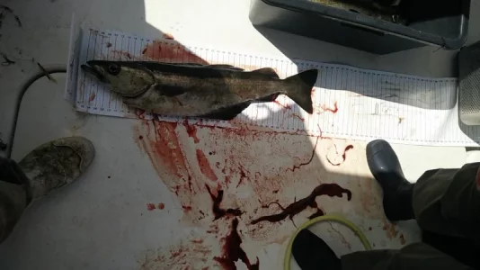 2019-06-04 12.42.50.webp