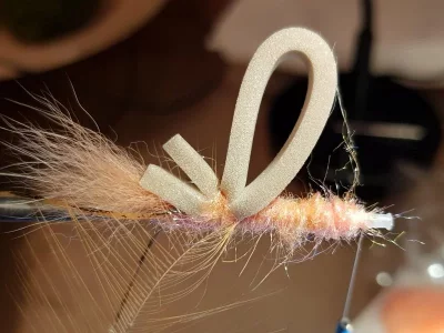 20190604_190745.webp 20190604_190745.webp