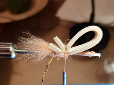 20190604_190203.webp 20190604_190203.webp